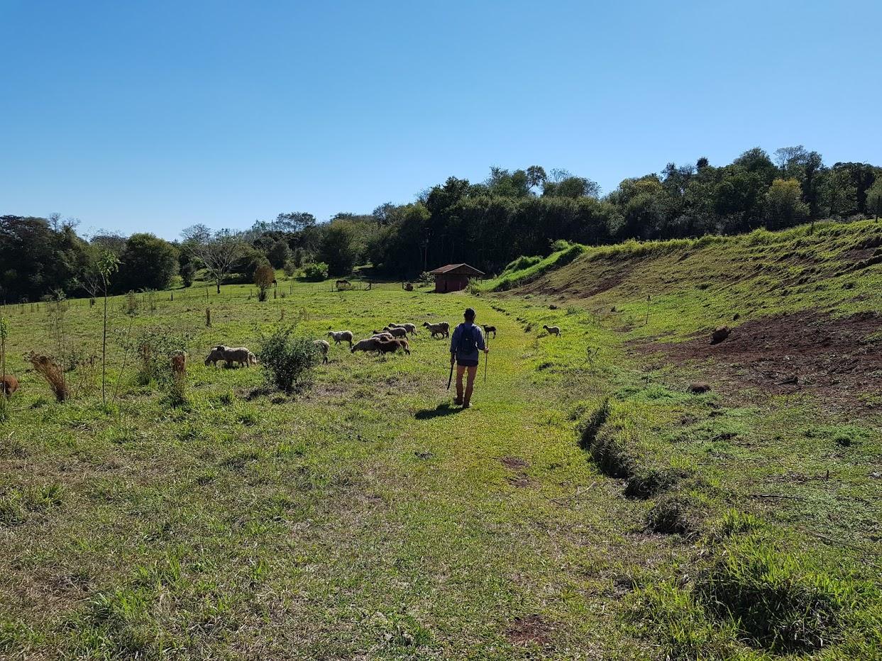 passeio na trilha