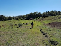 passeio na trilha