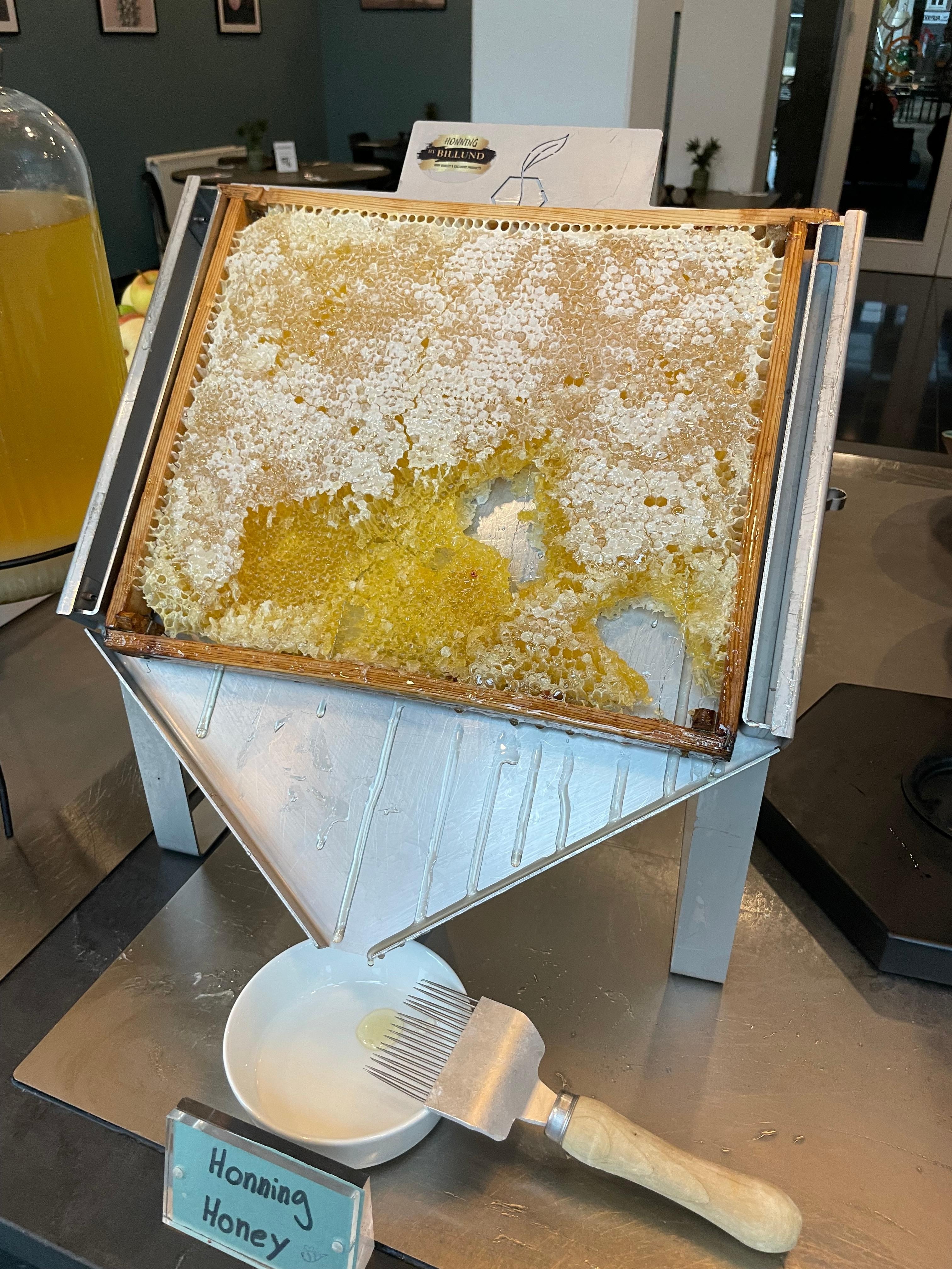 Honung vid frukostbuffén 