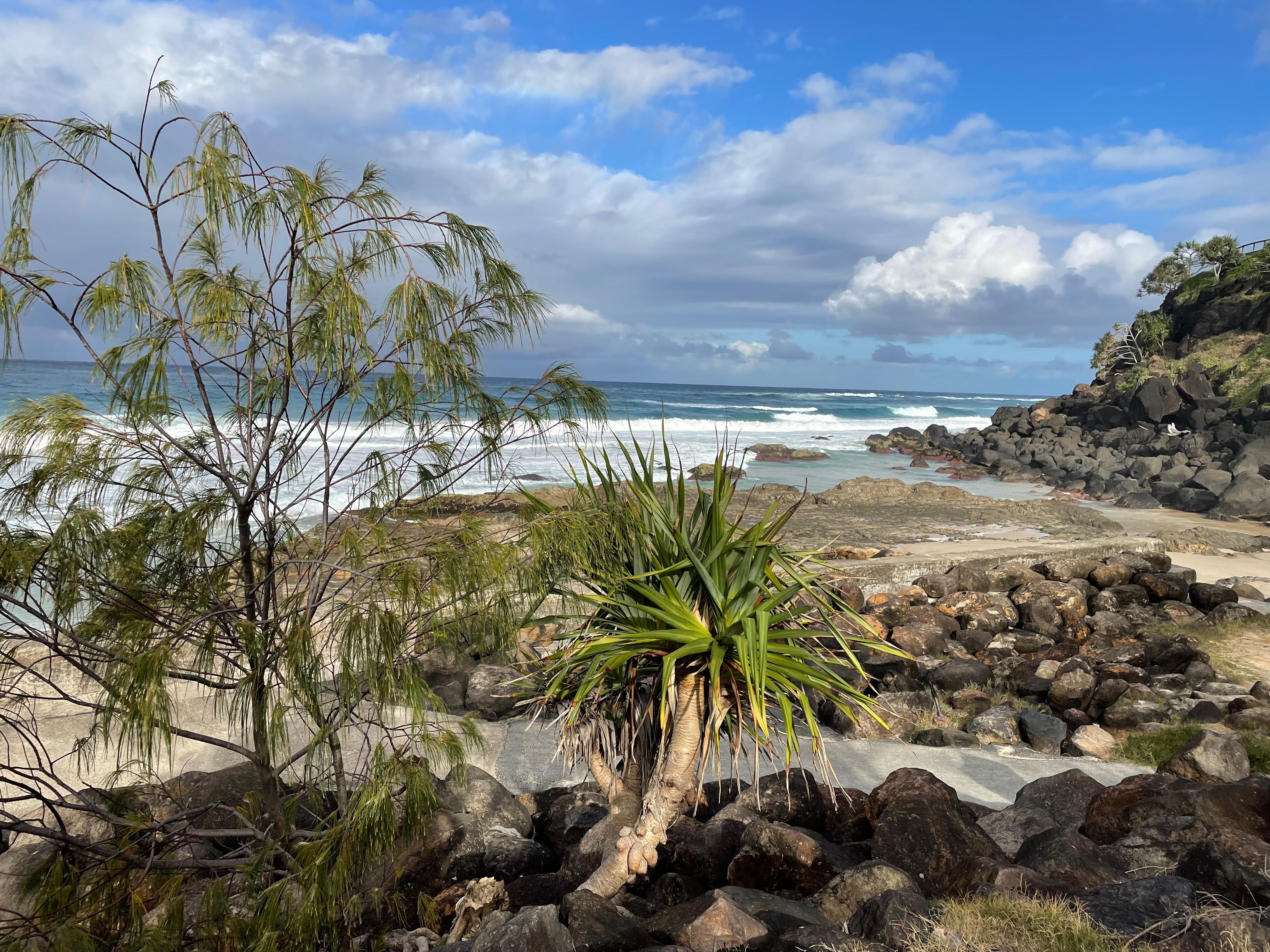 Snapper Rocks