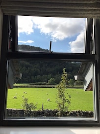 View from our window