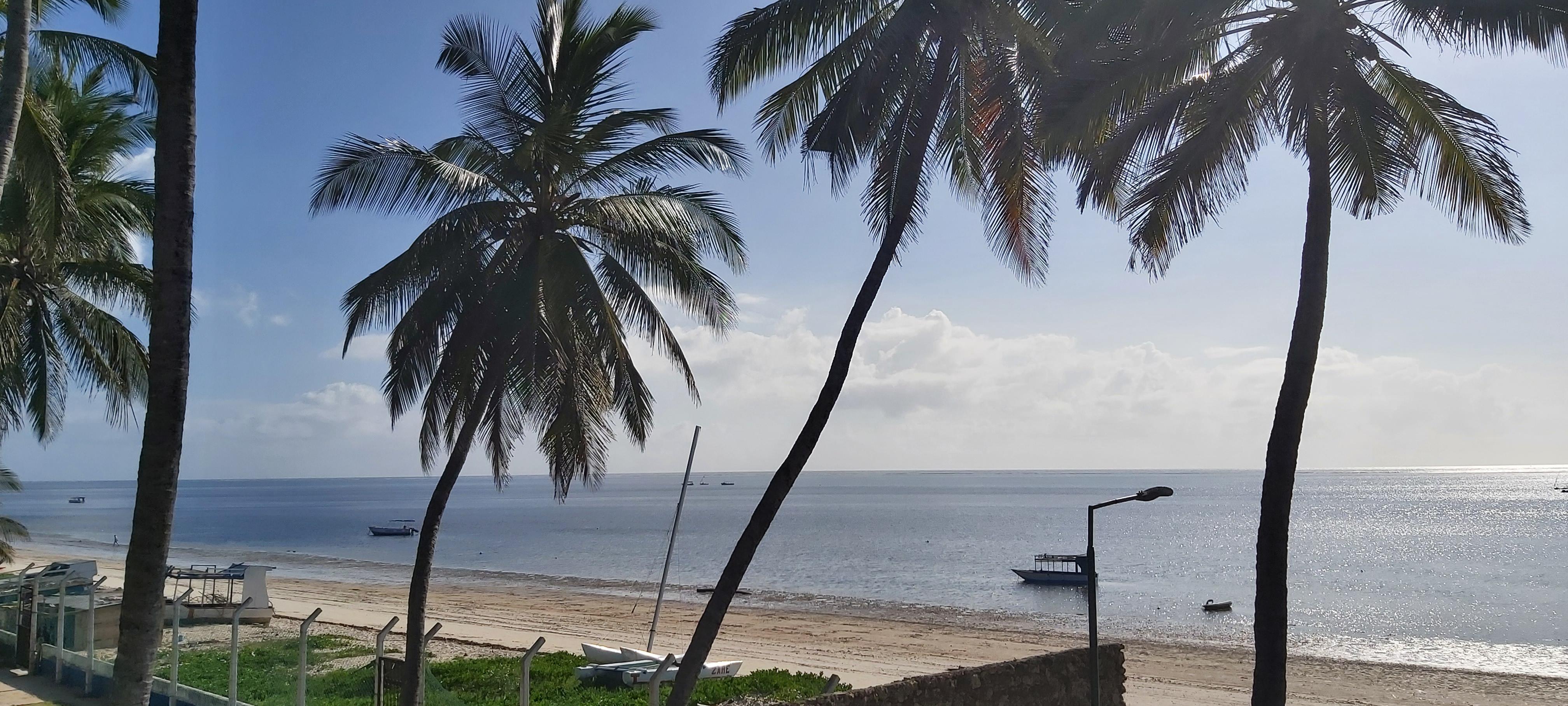 Beach and ocean front