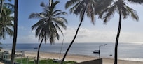 Beach and ocean front
