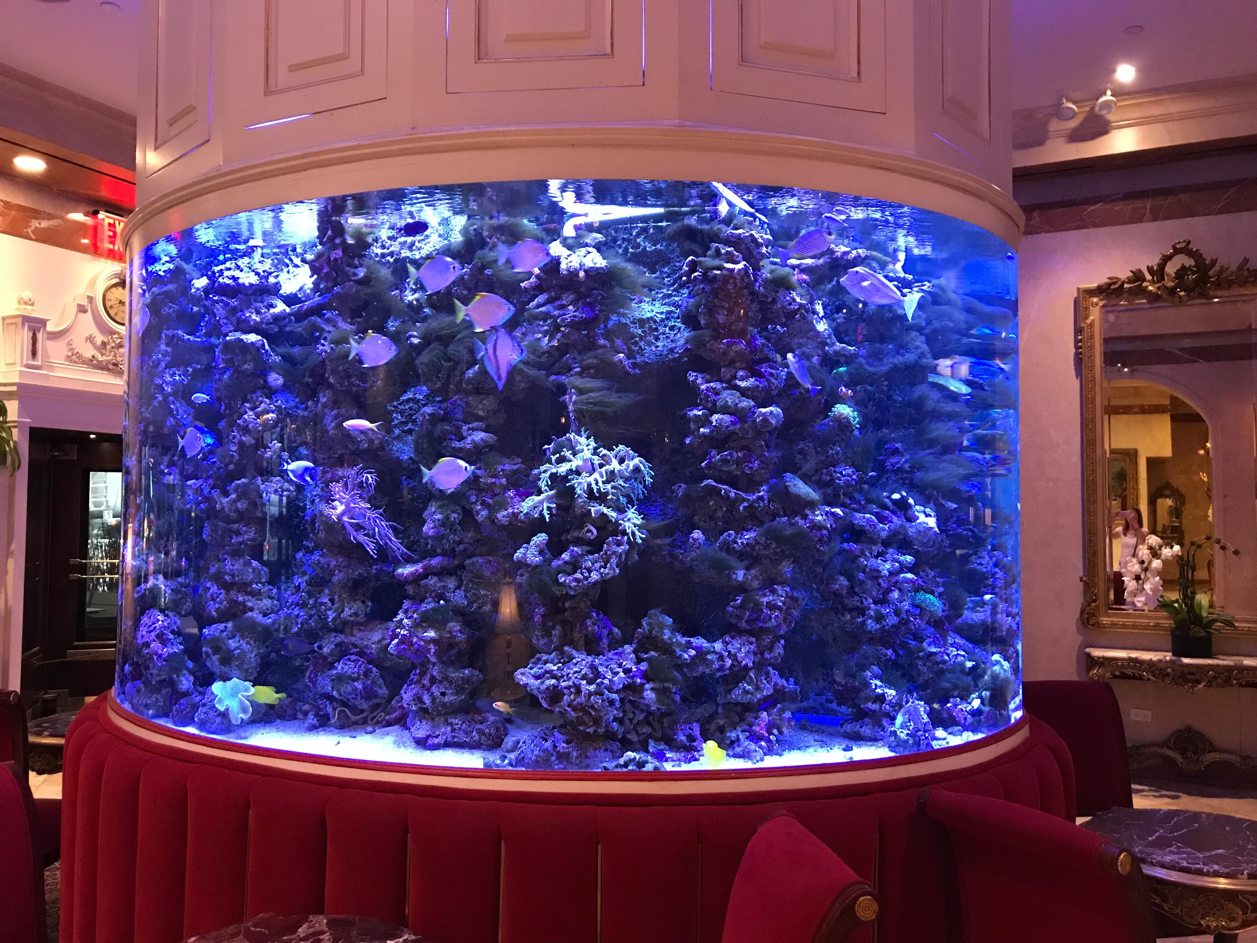 Lobby fish tank