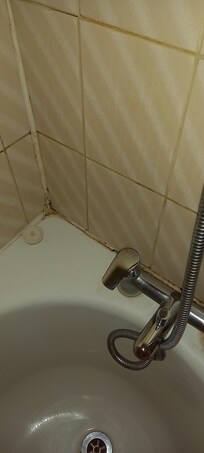 Mould in the bath