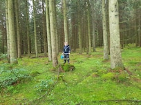 Skogen i närheten av stugan, "den blåa promenaden"
