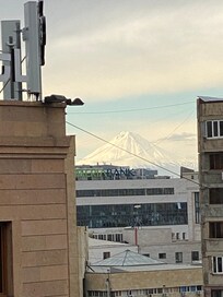 Mount Ararat from my bedroom on the 8th floor.