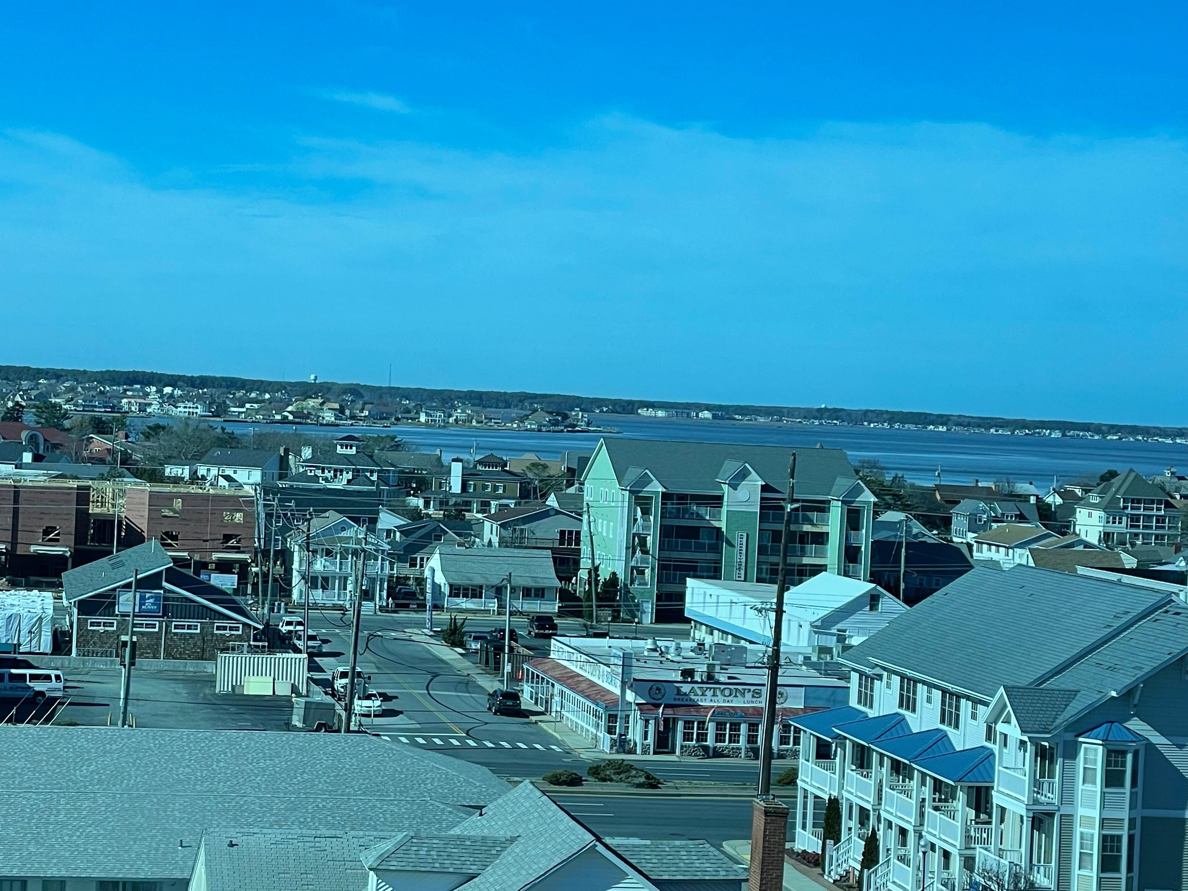 The Bay