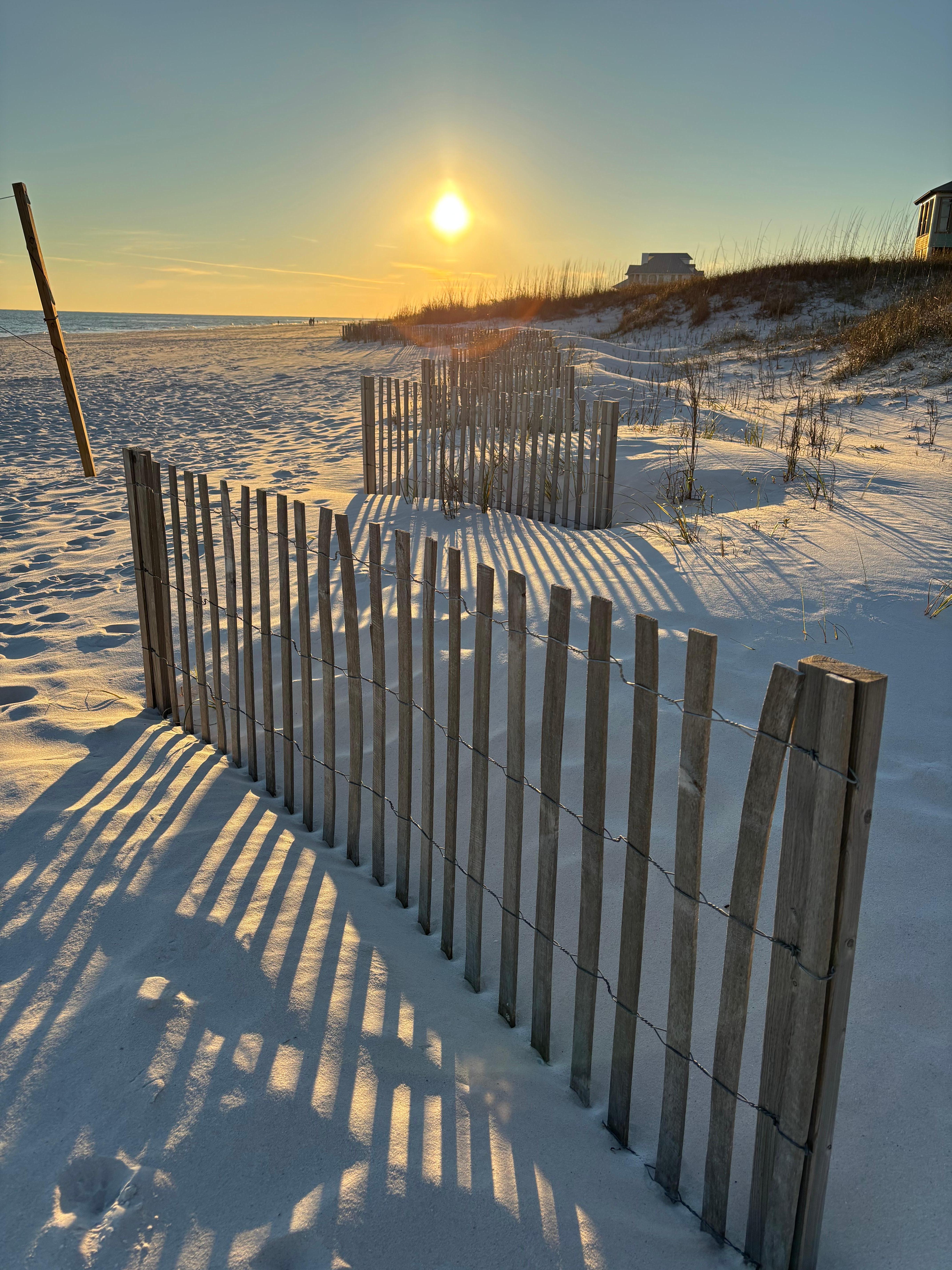 The beach 