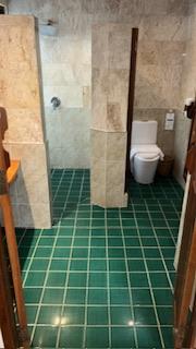 Another big step into green tile, then small steps to shower and toilet atea