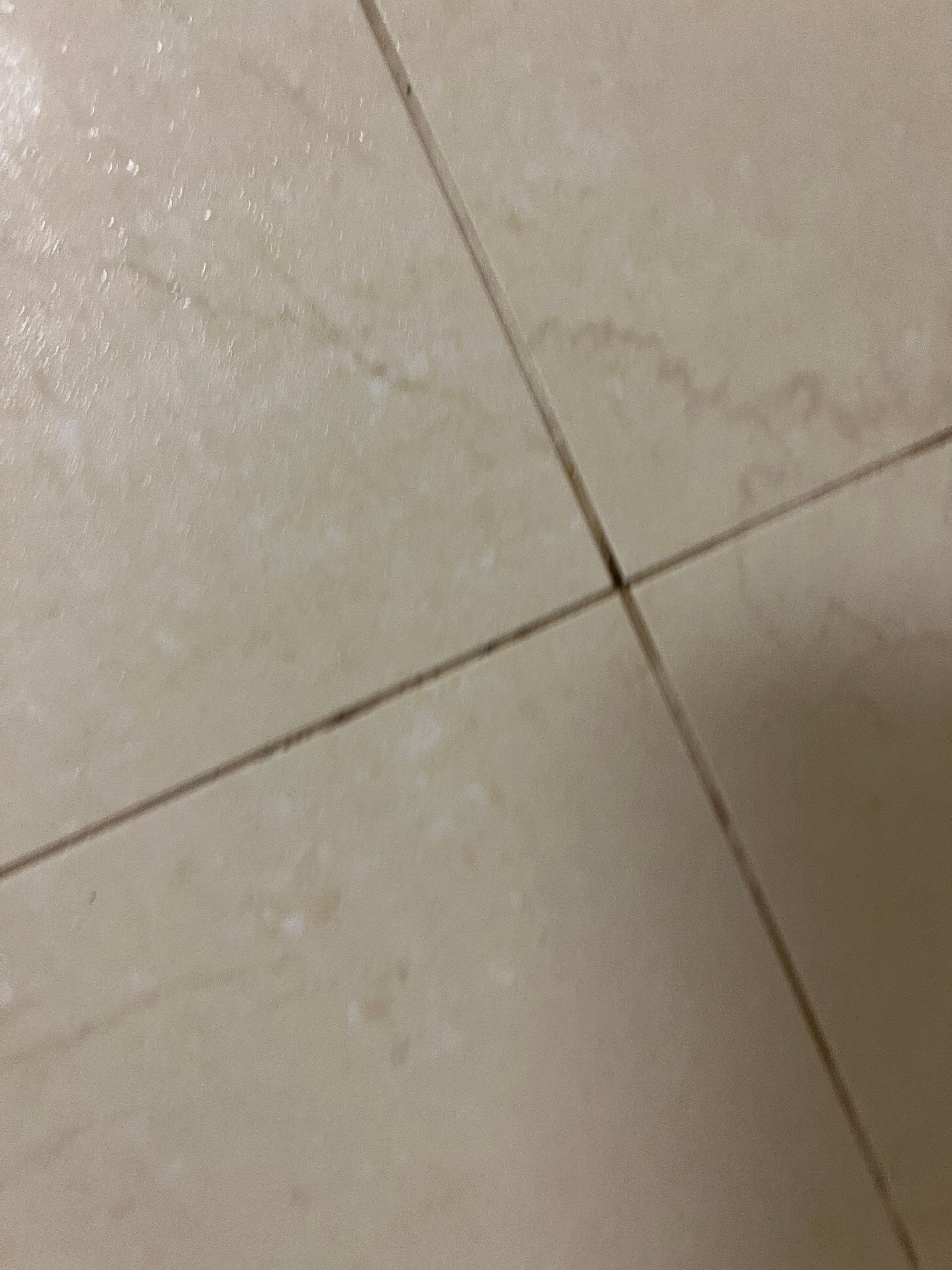 Dirty mildew in the grout 