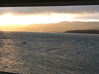Morning view from my window