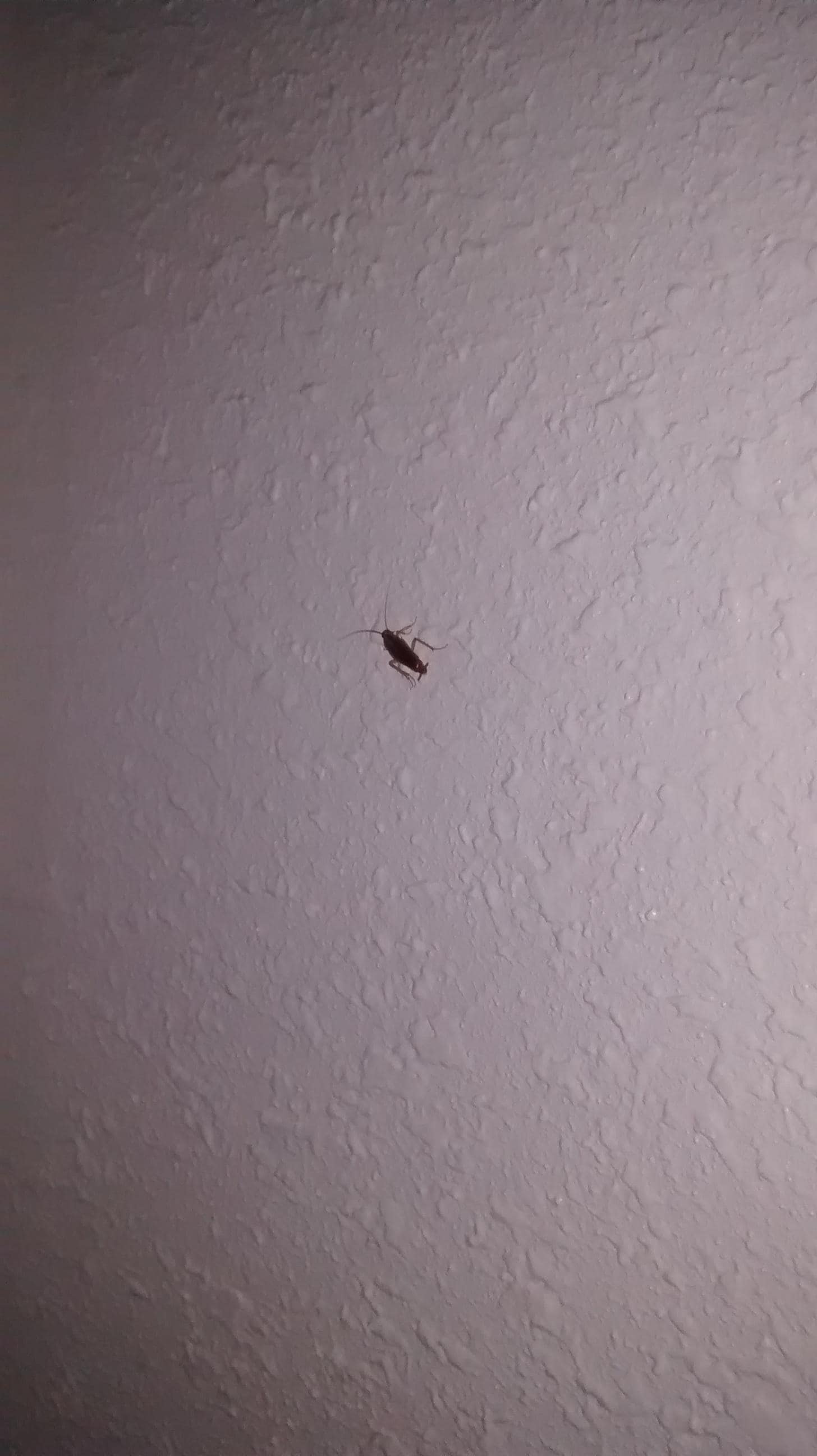 On wall next to fridge