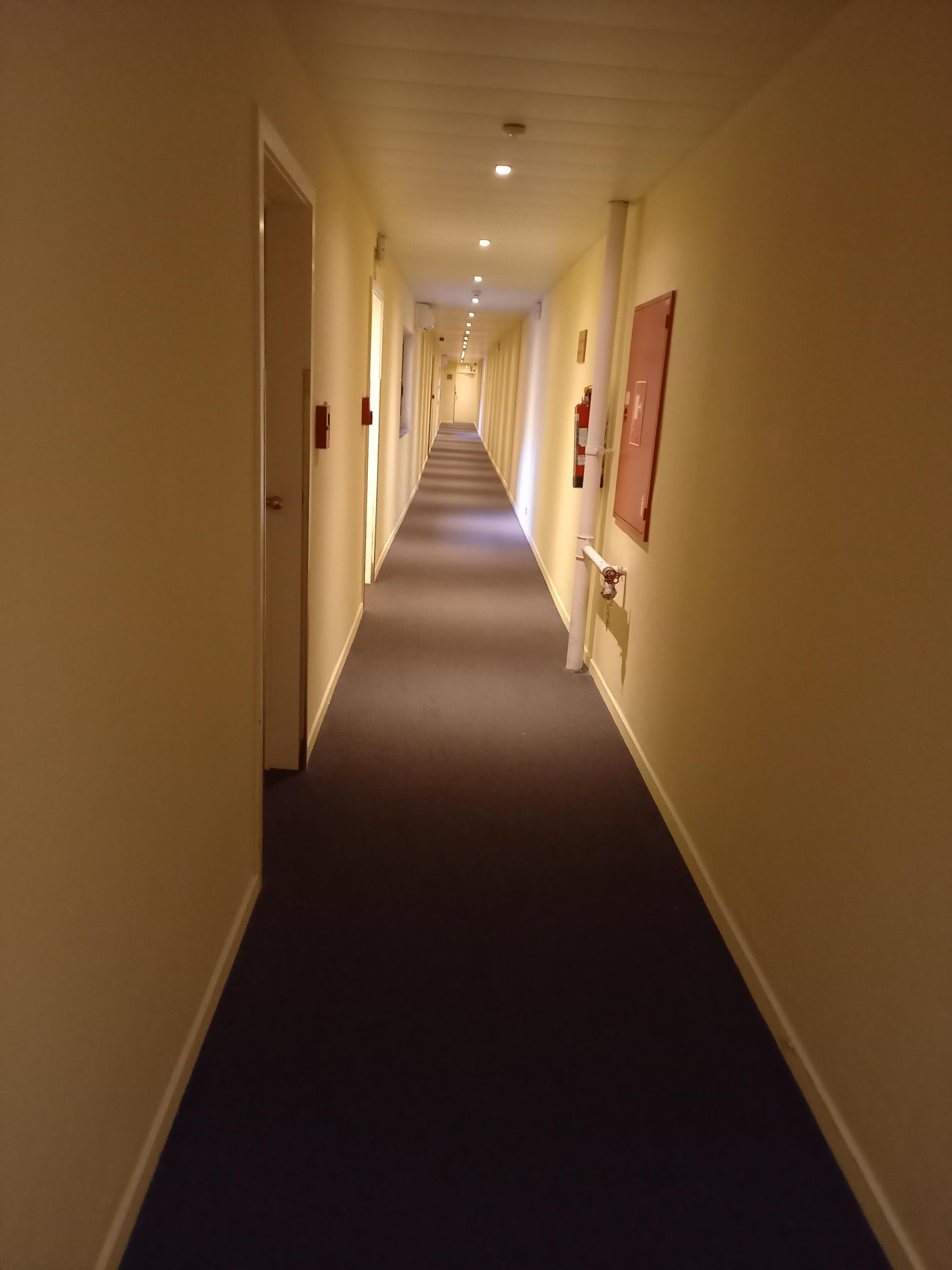 An inviting corridor with dirty walls and carpet