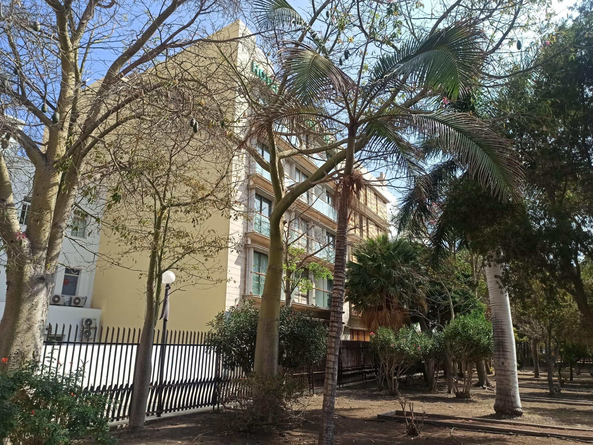 Vista posterior desde el parque