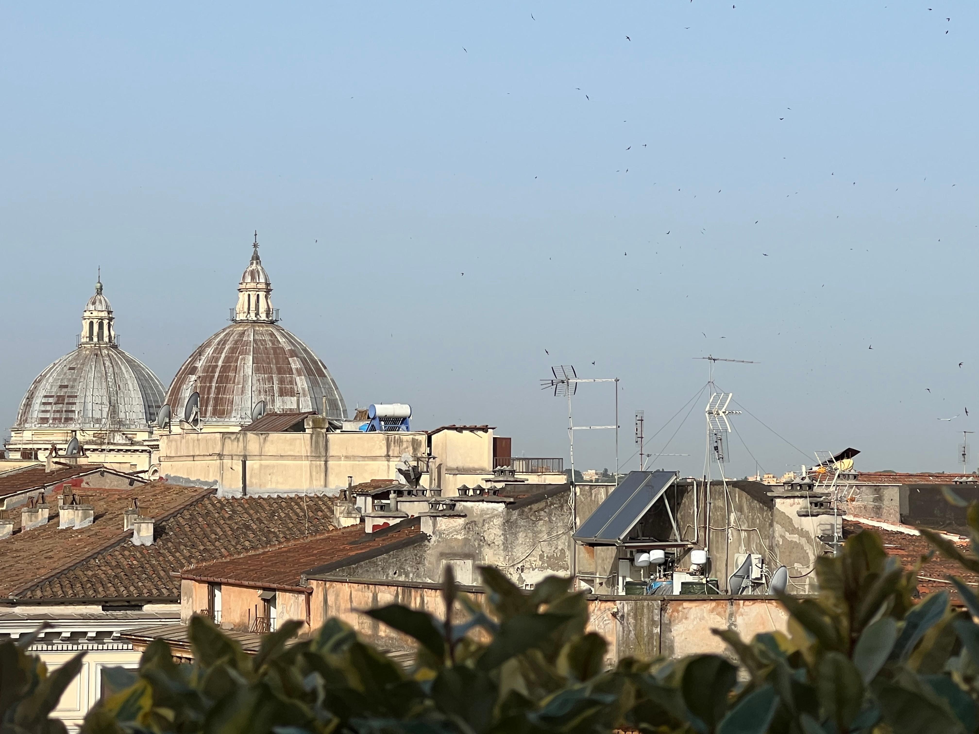 View from the rooftop