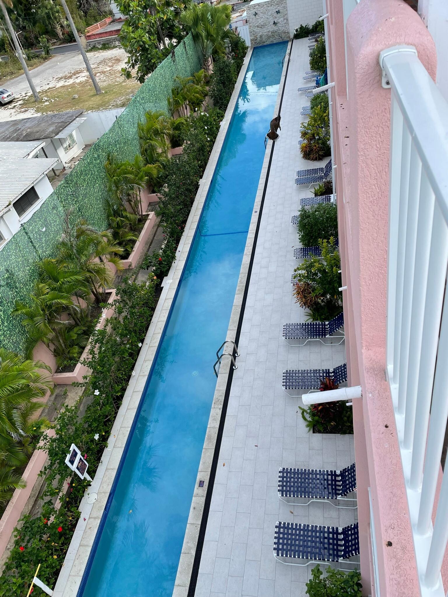 Lap pool