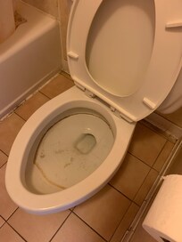 I don’t think this toilet has seen a toilet brush in over a year