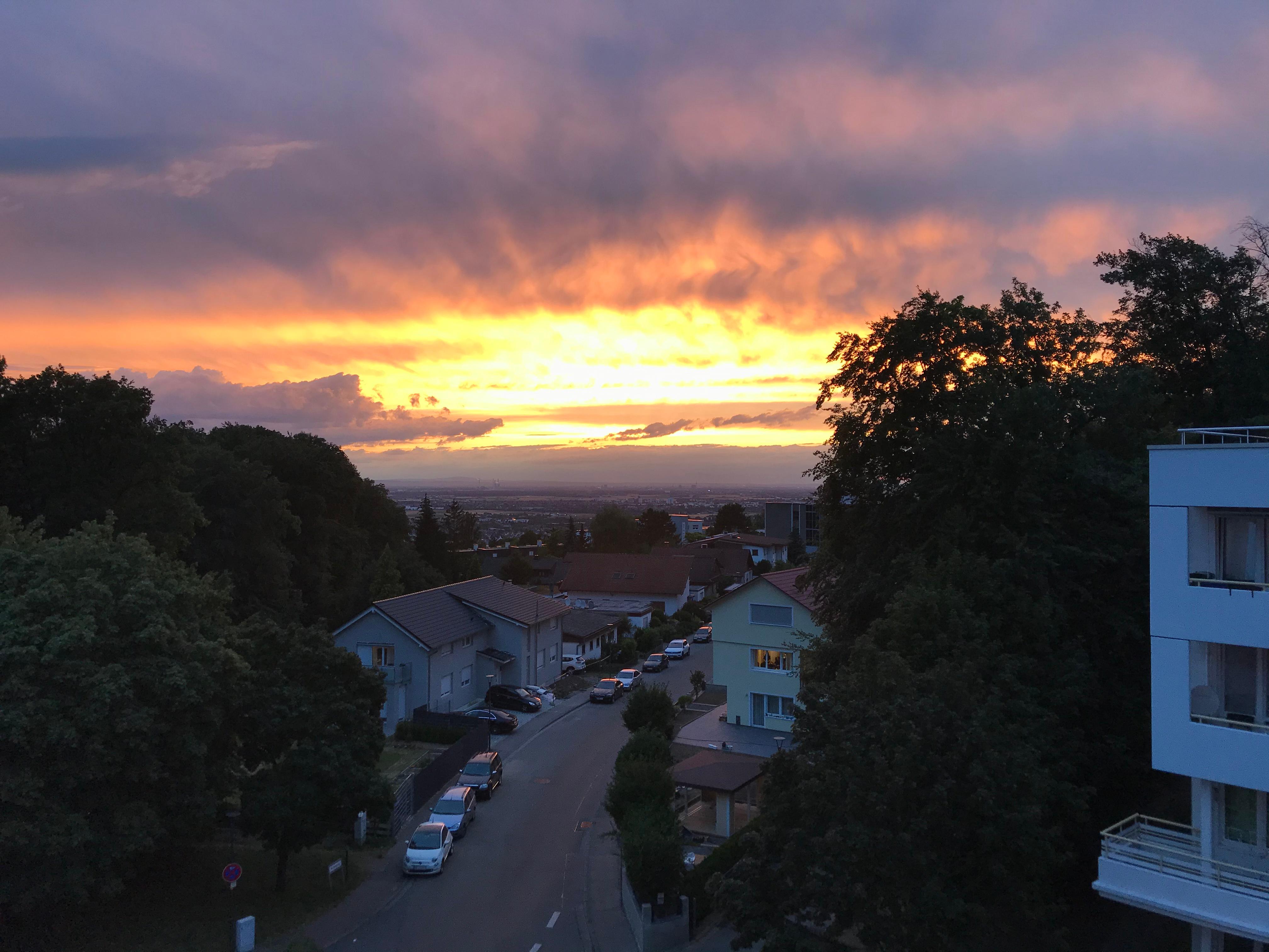 View from Apartment 52 patio.