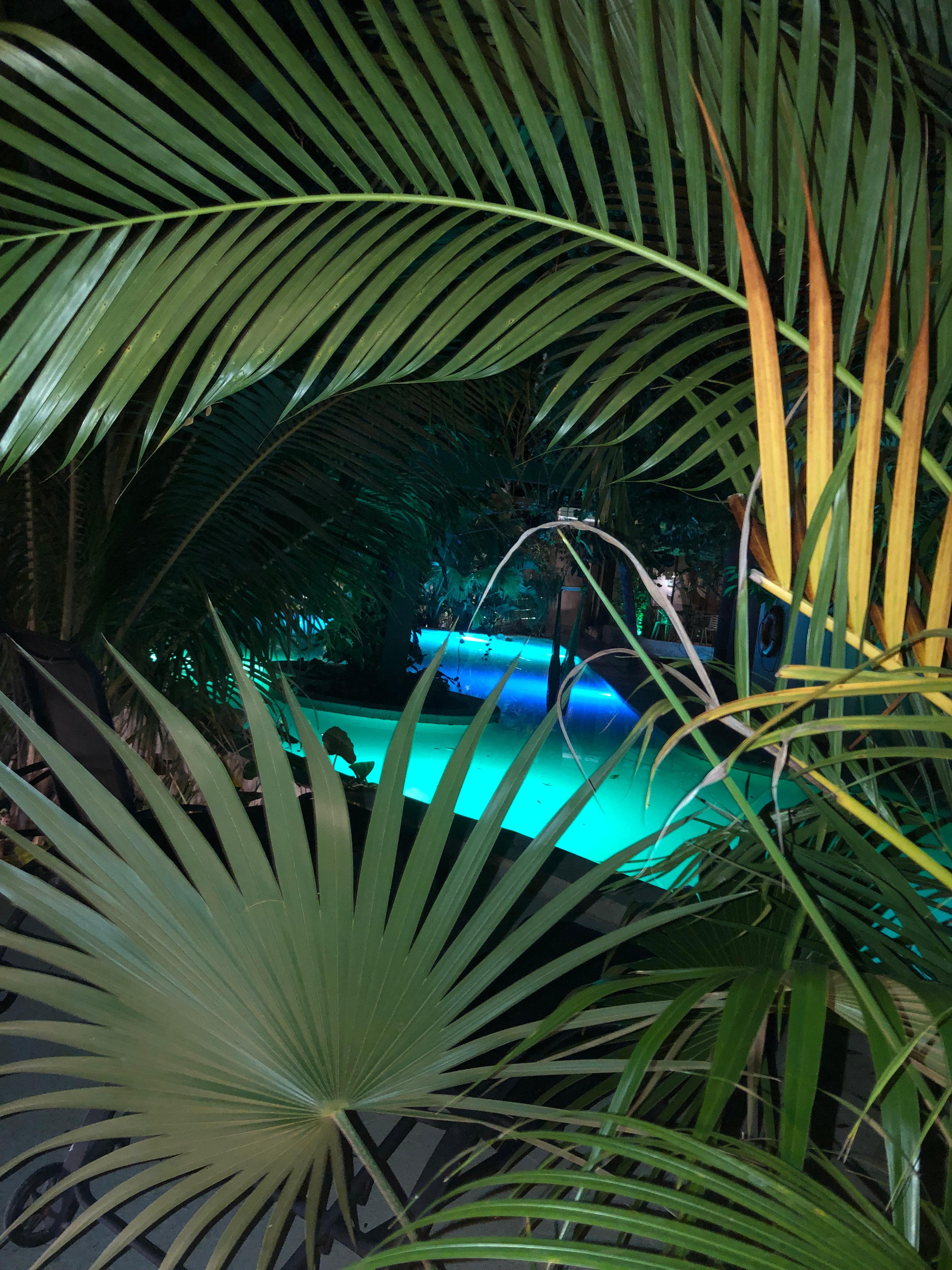 Pool view at night