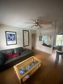 Room 4- living room