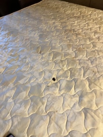 Mattress with stain and food everywhere! Gross