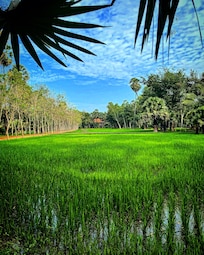 View while walking to breakfast