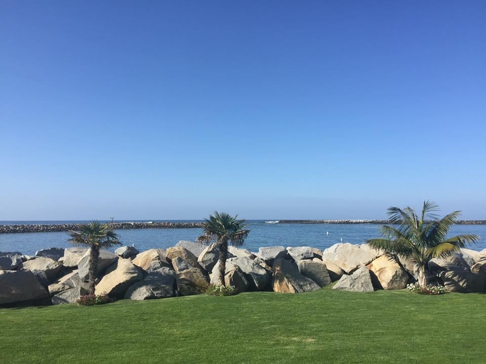 View from the breakfast room