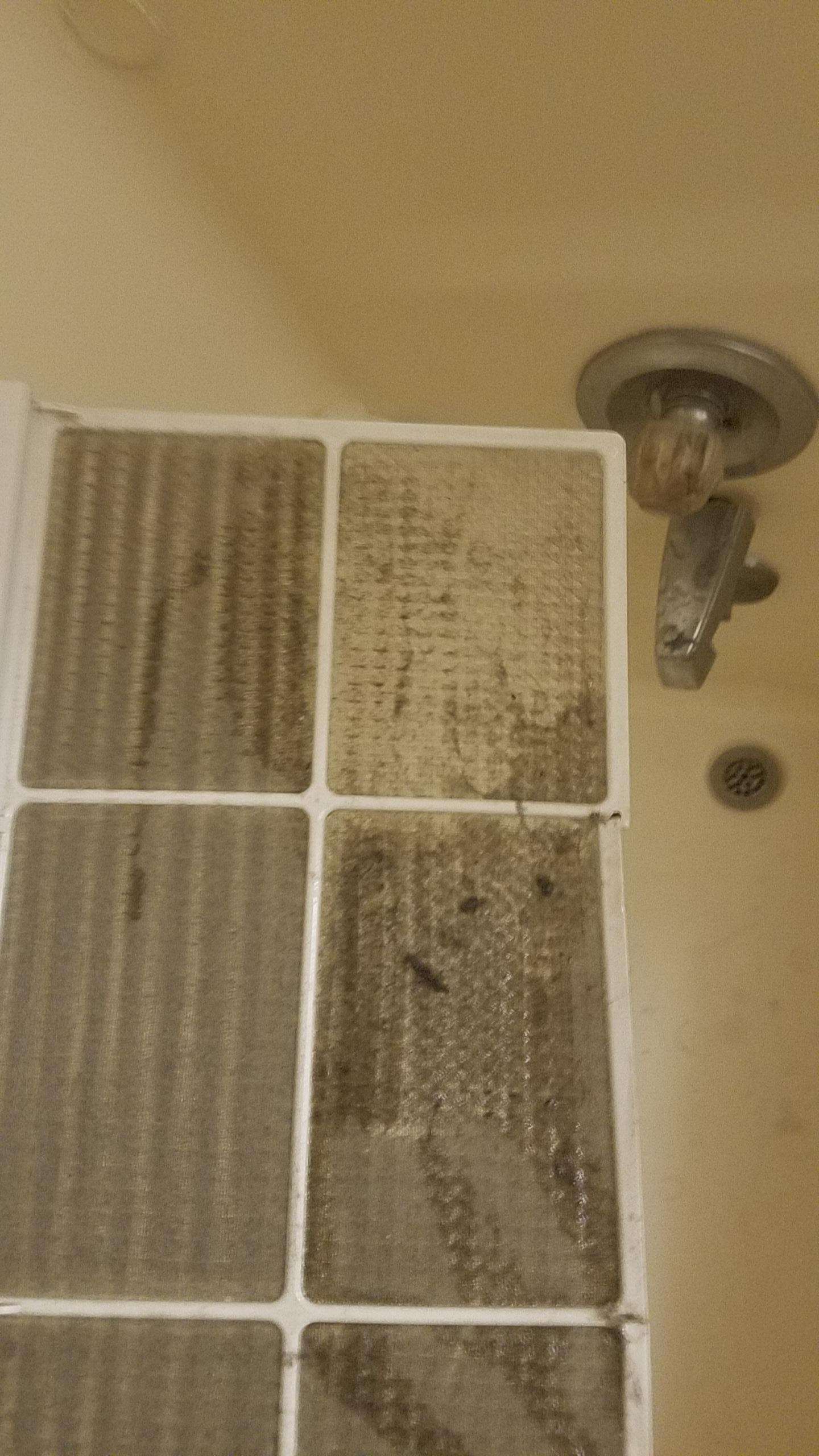 Pictured: The air conditioner filter. I washed the upper right square first for a comparison of what it's supposed to look like. It smelled much better after I cleaned it.