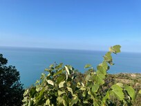 View from room terrace