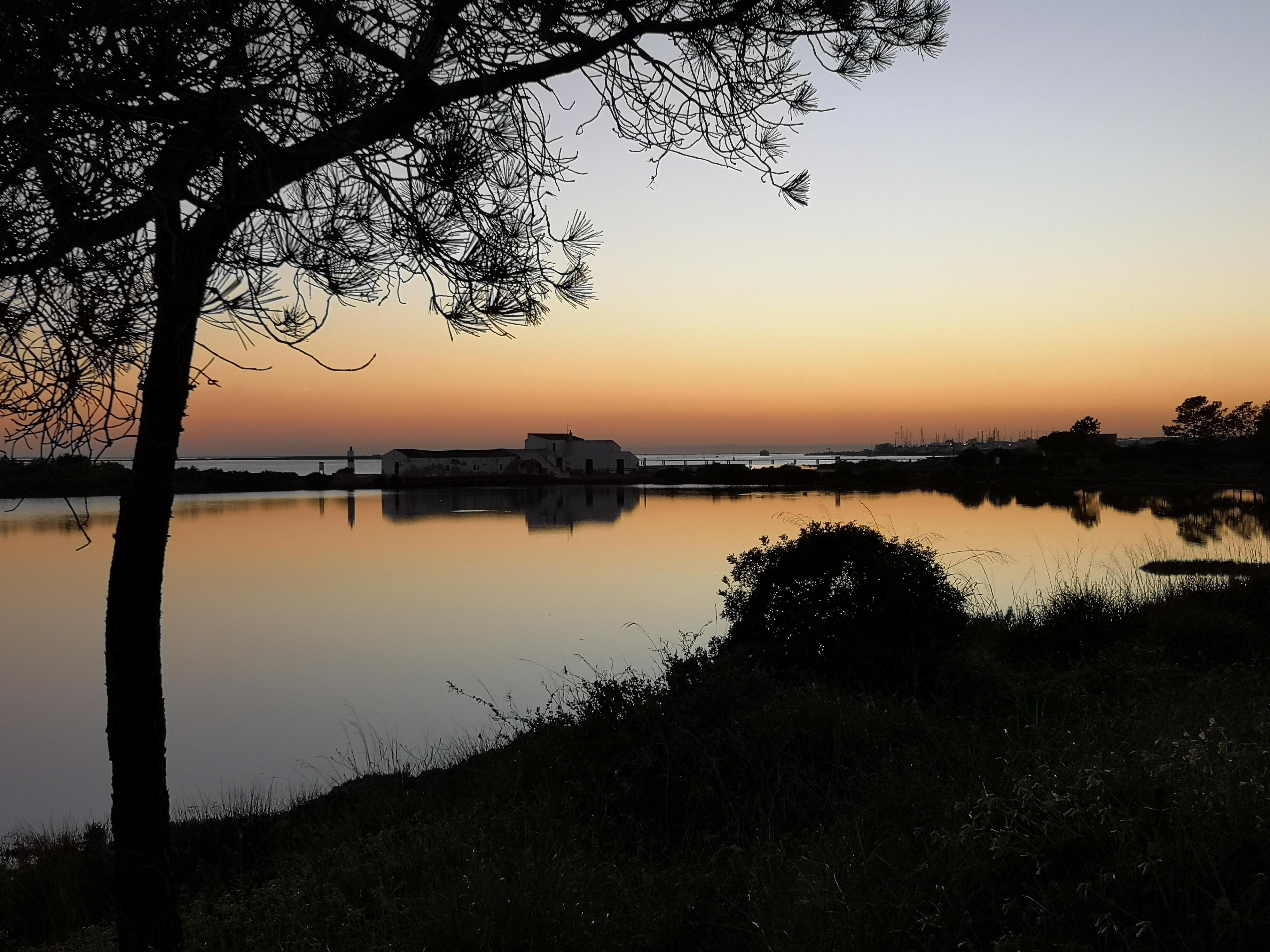 Tidemill at sunset 