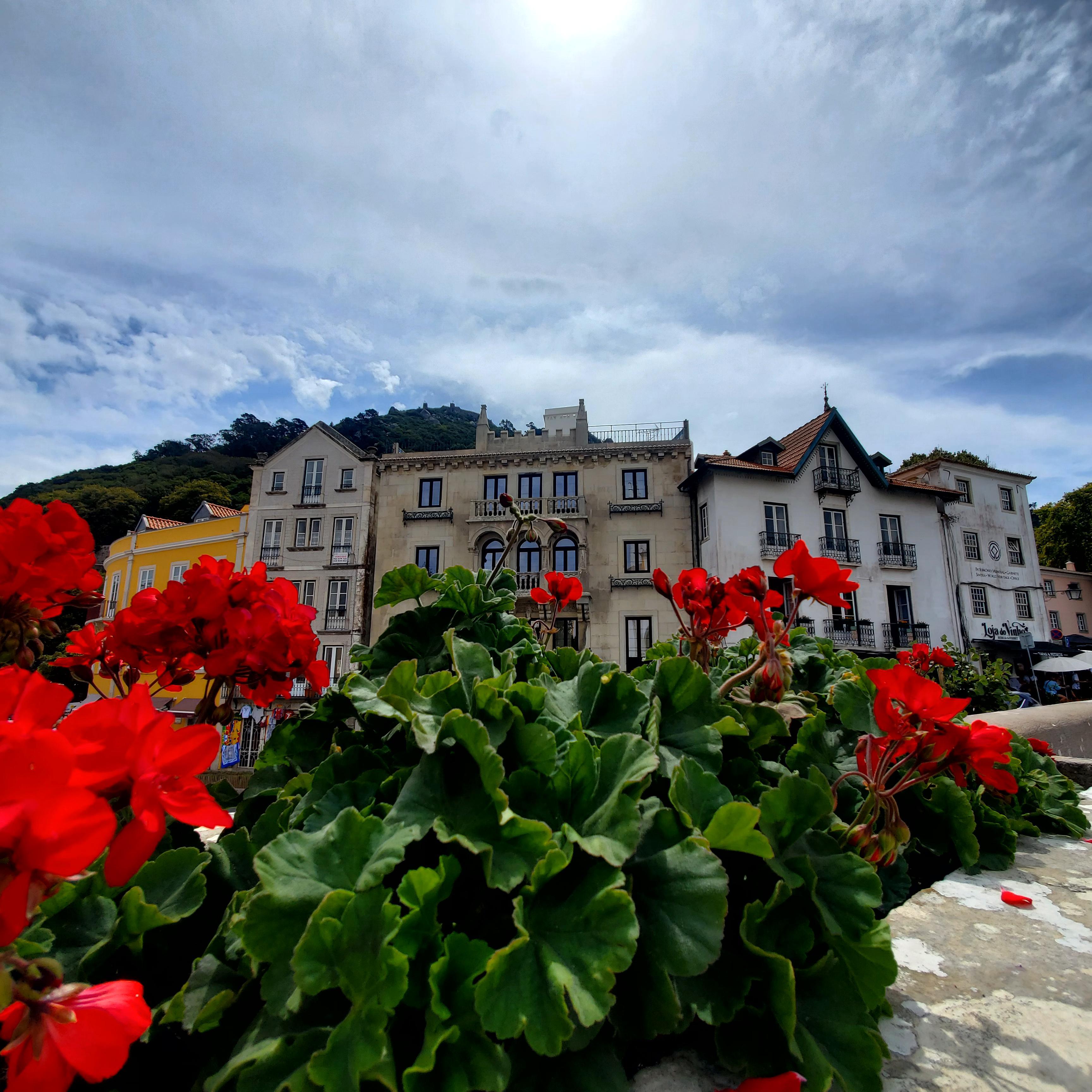 Sintra skyline