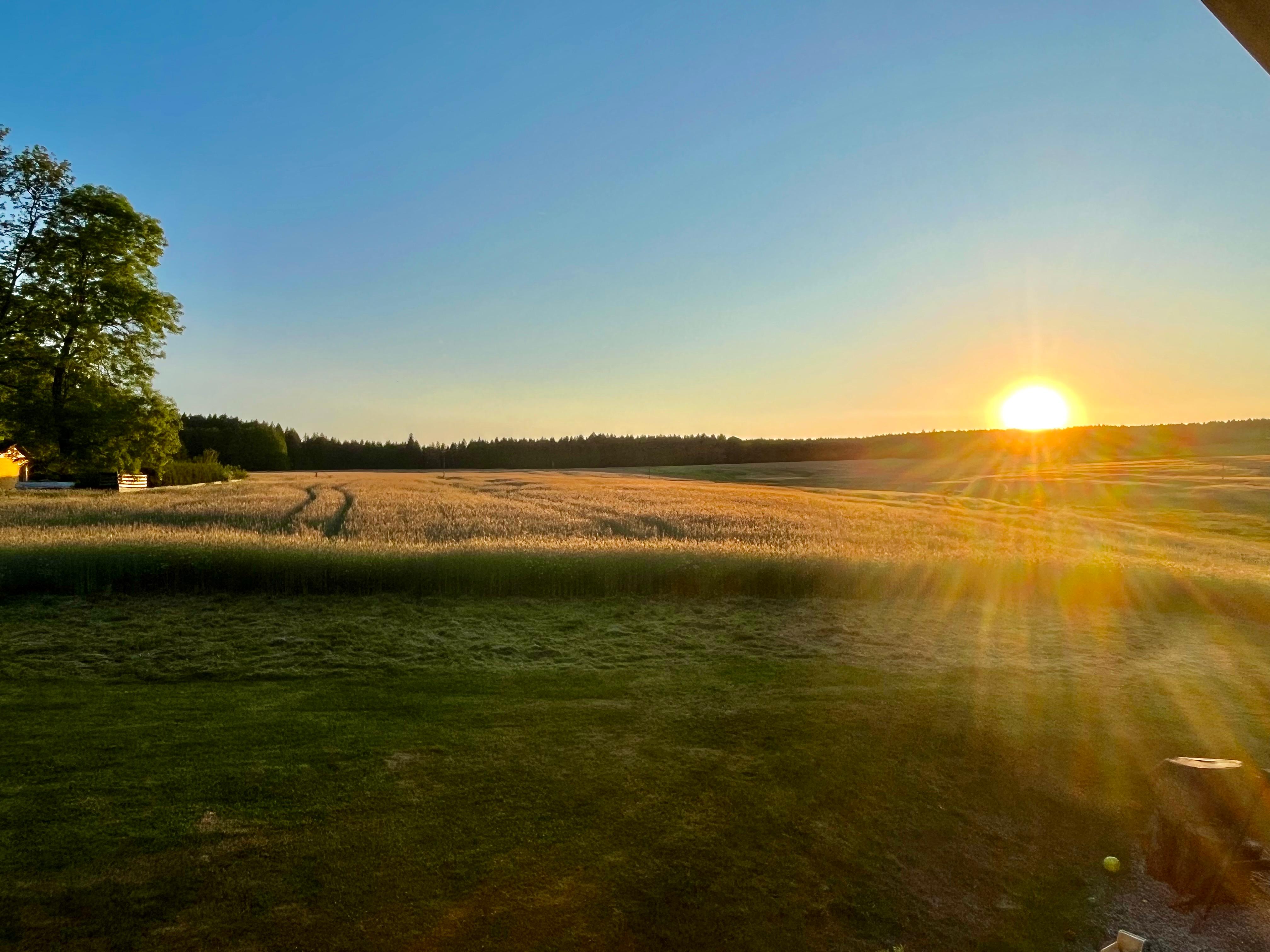 Blick aus unserem Zimmer