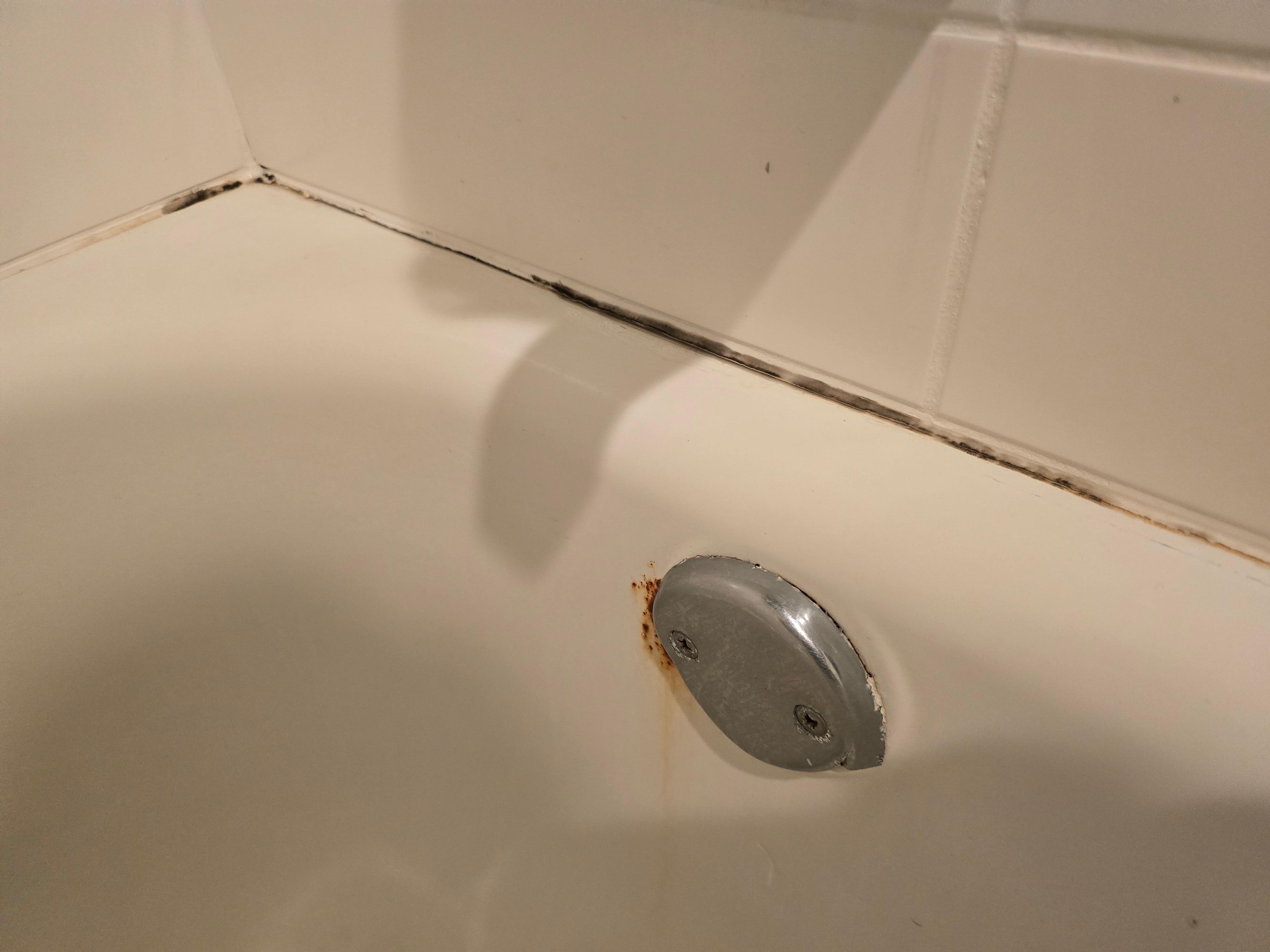 Mold