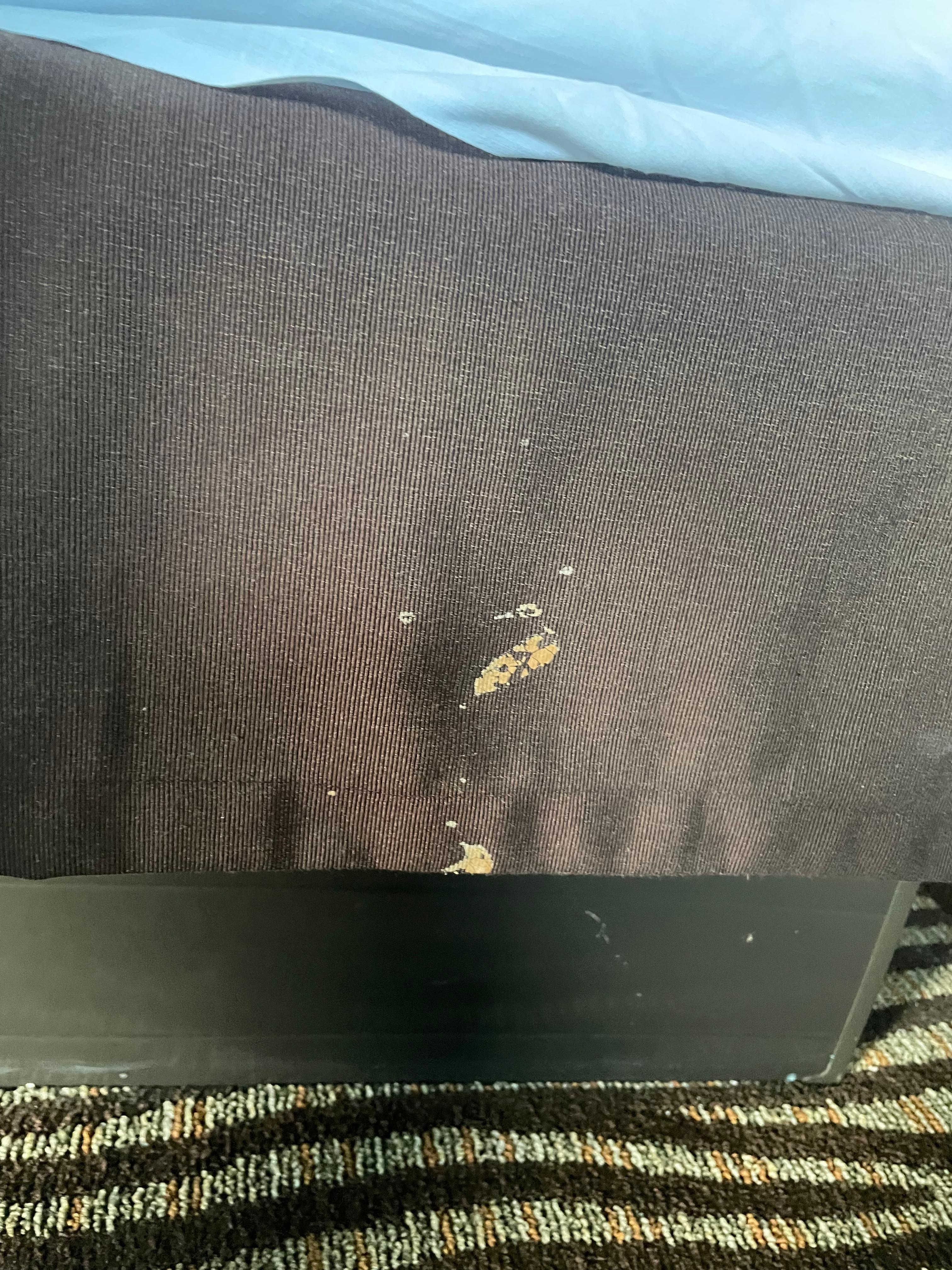 Something brown dried on bedskirt