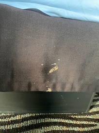 Something brown dried on bedskirt
