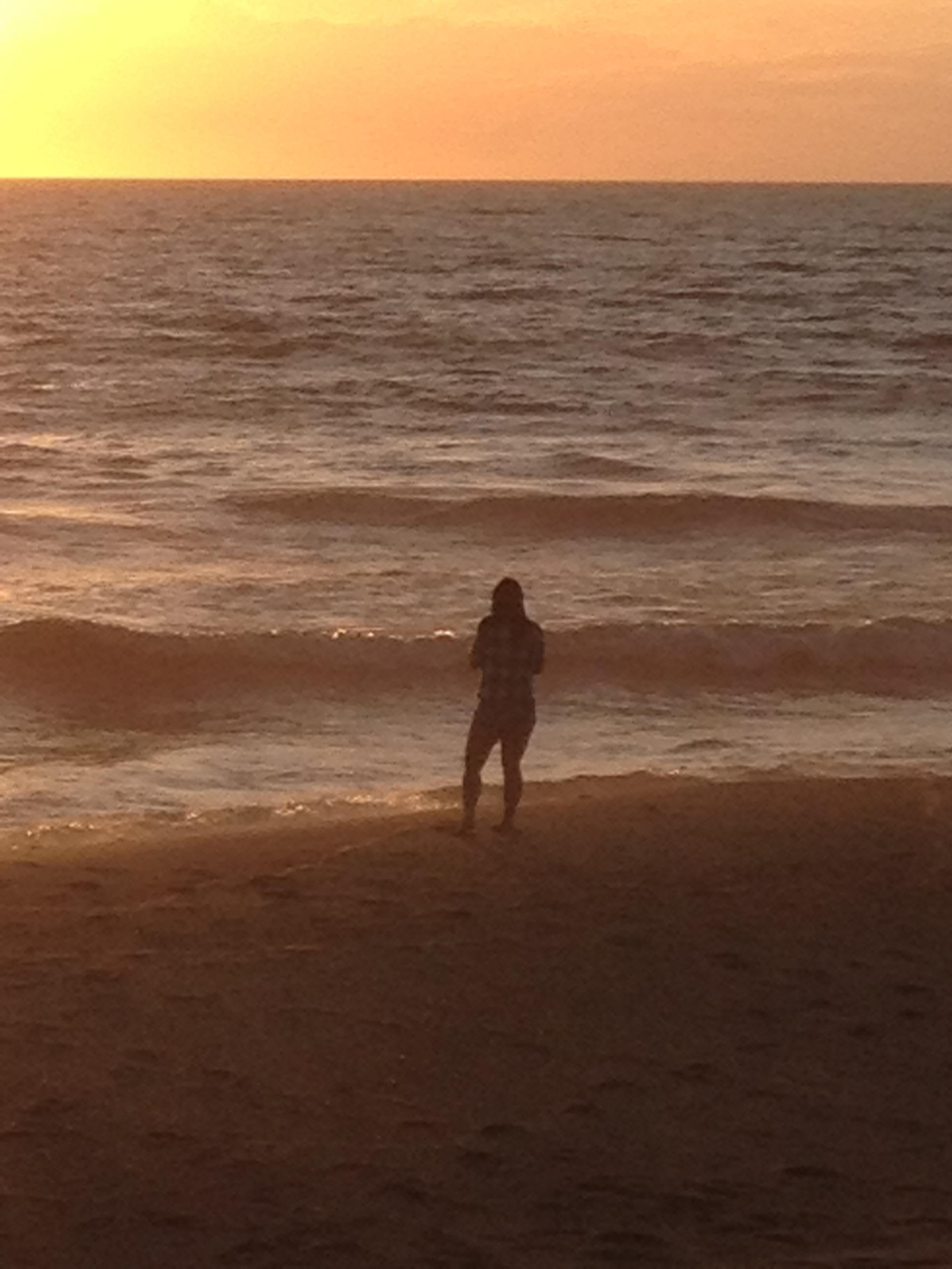 Life at sunrise