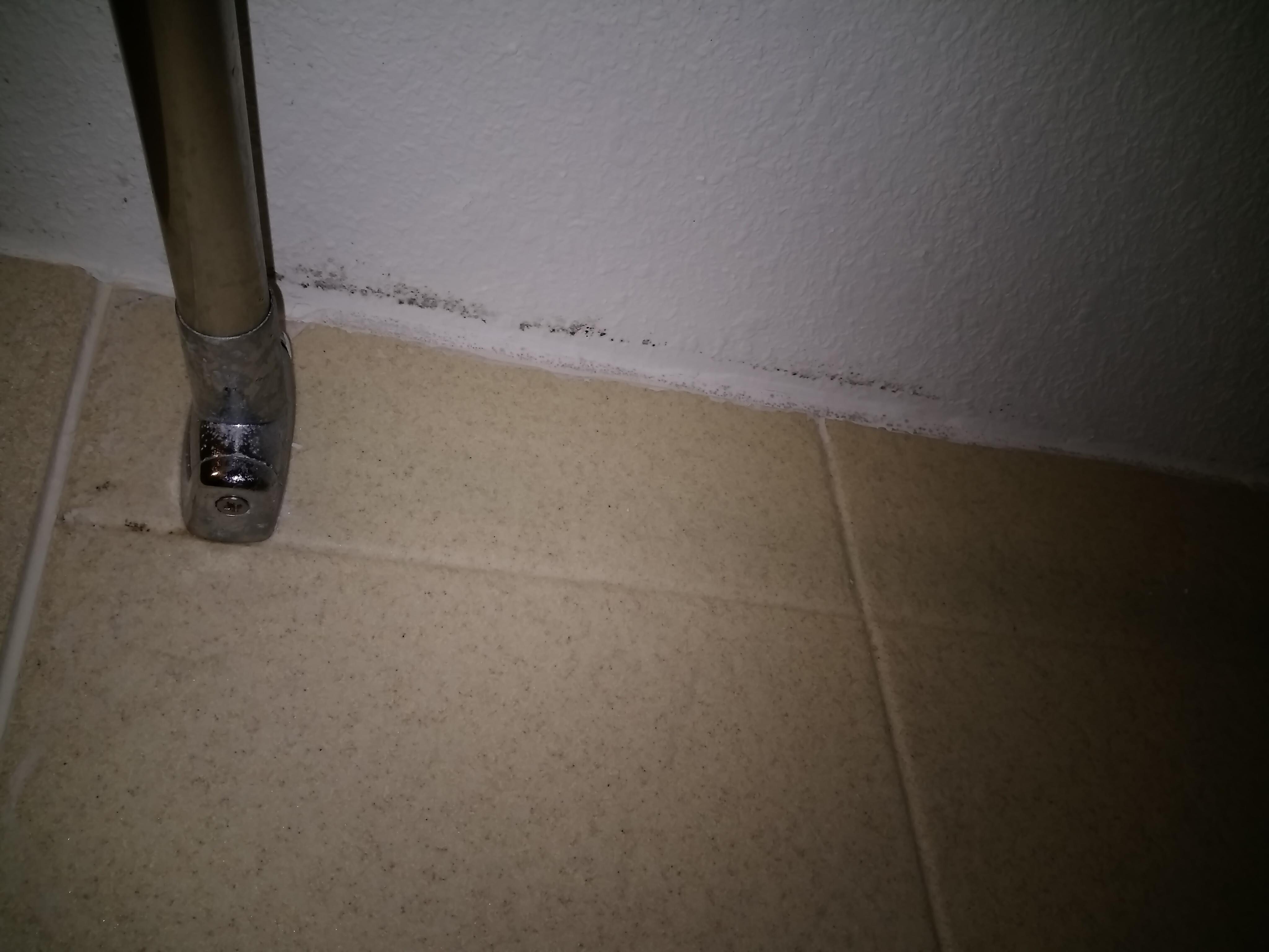 Mold