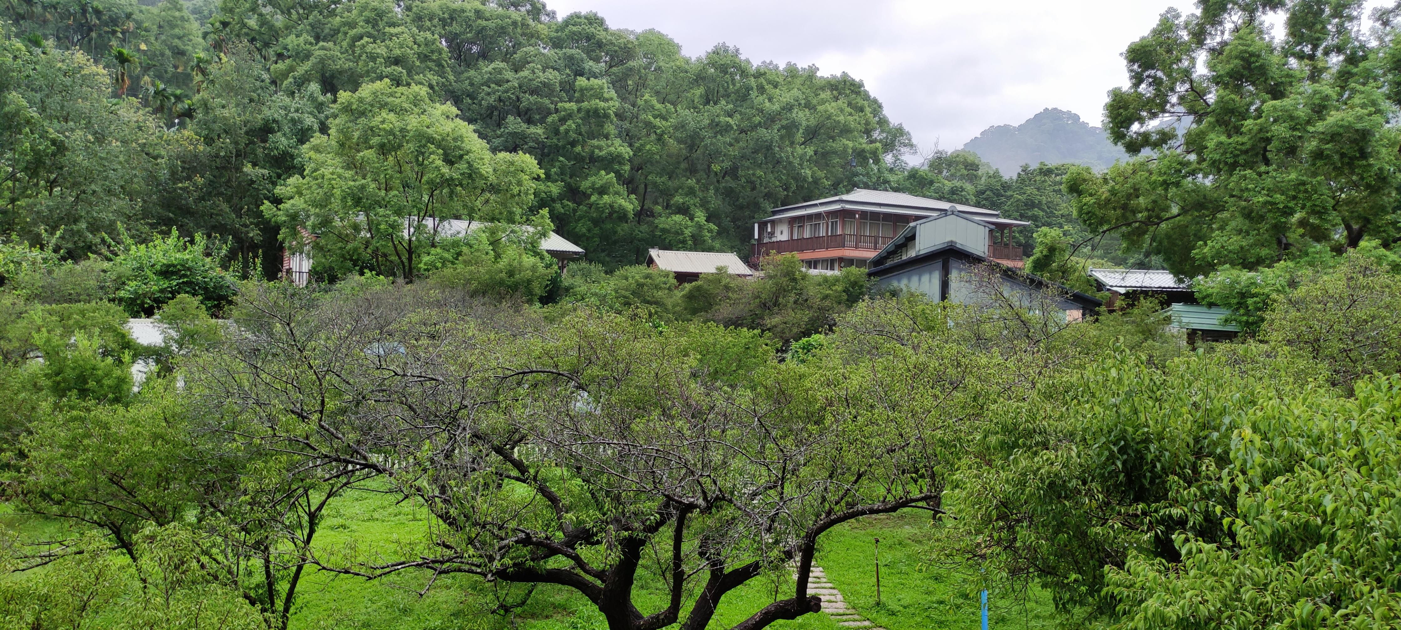 美麗風景