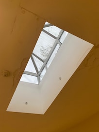 Mossy stairwell window and water damaged ceiling