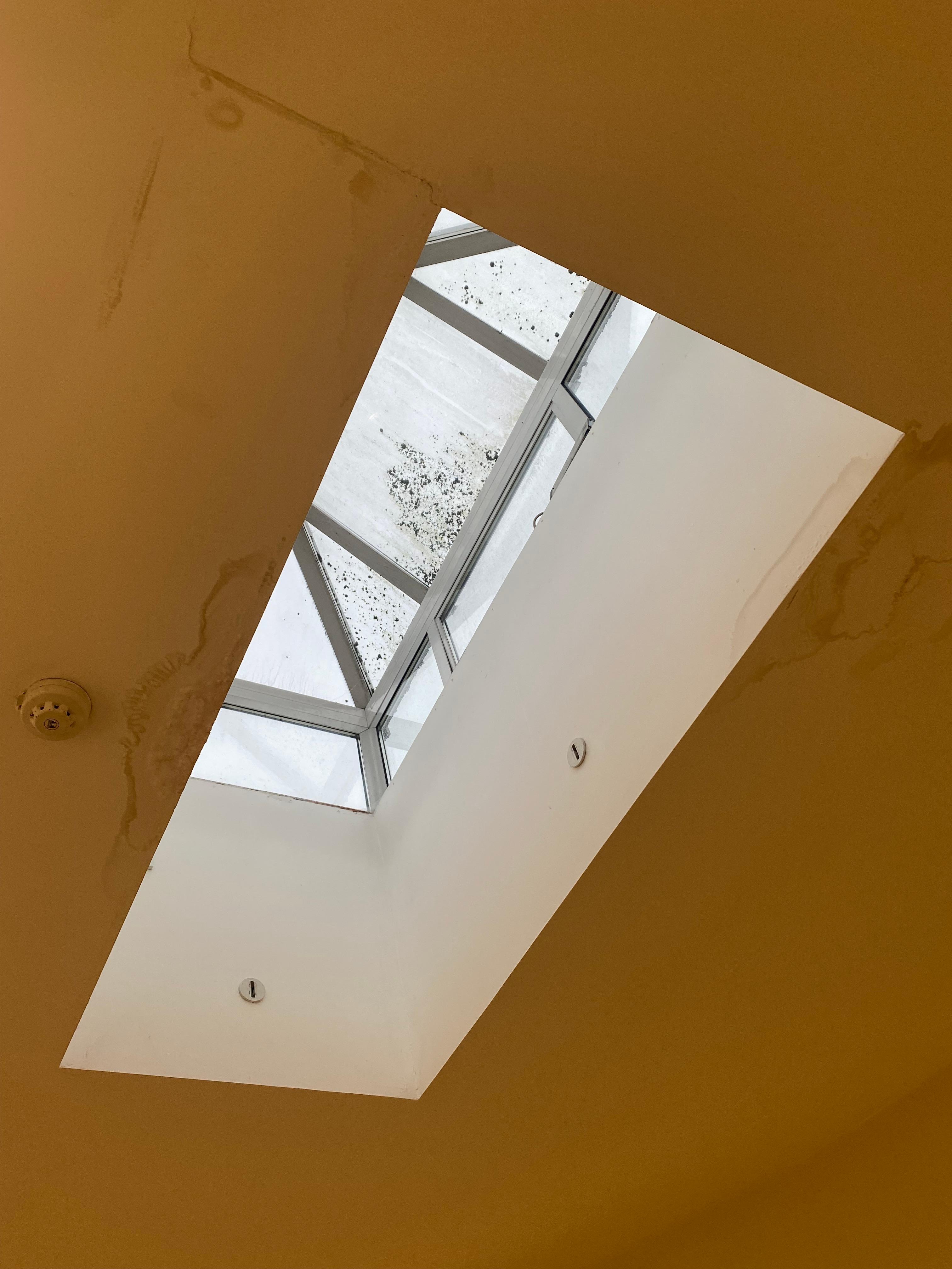 Mossy stairwell window and water damaged ceiling