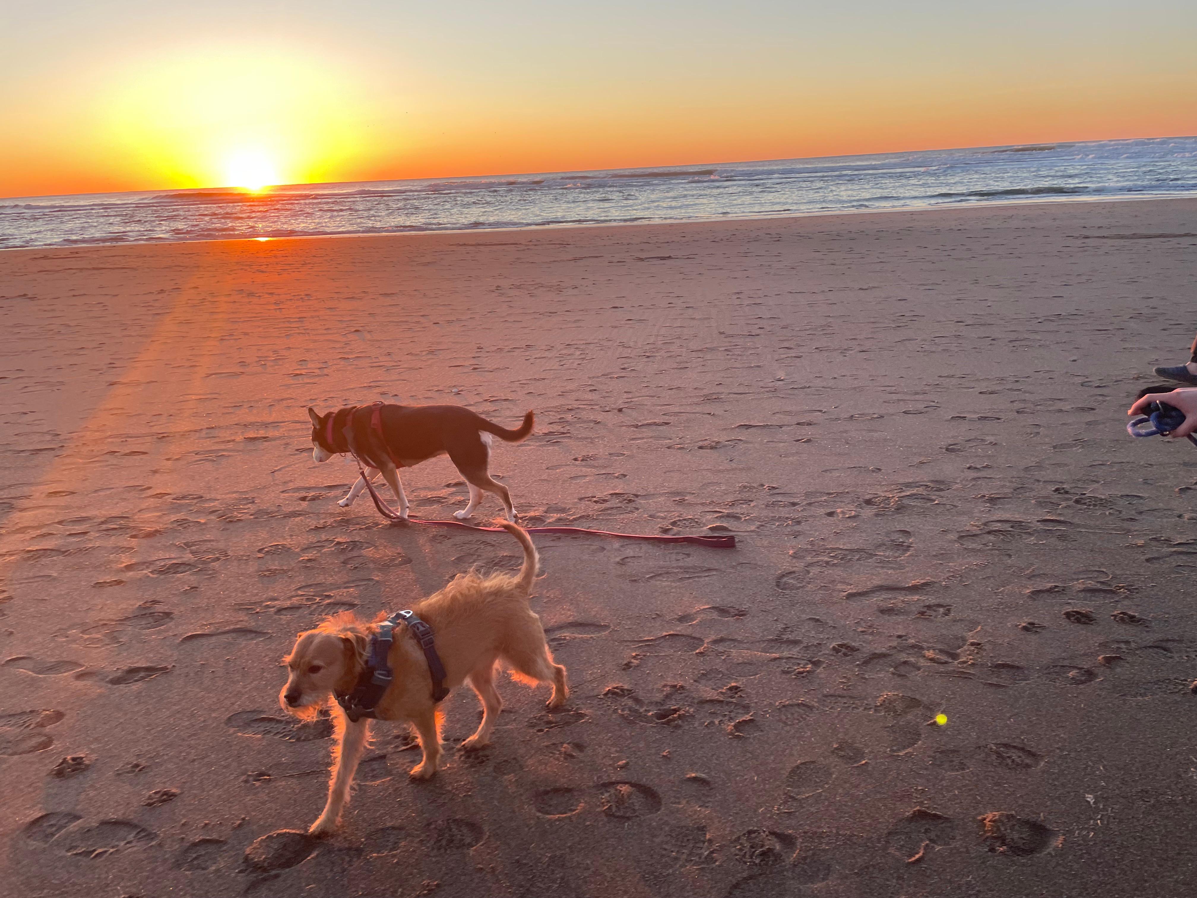 Less than 10 minute walk to beach access (stairs down to the beach) 