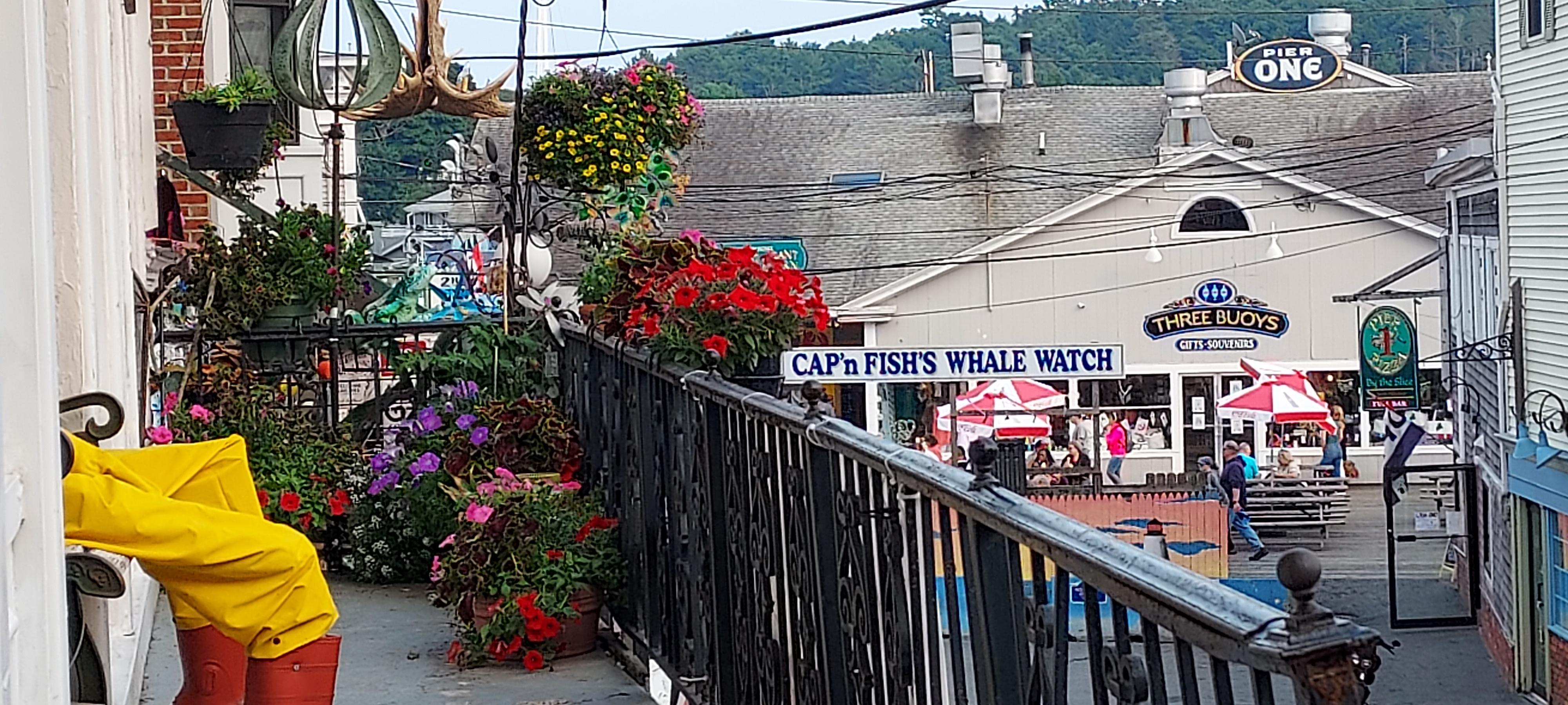 Boothbay Harbor 