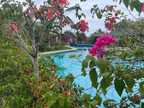 The pool
