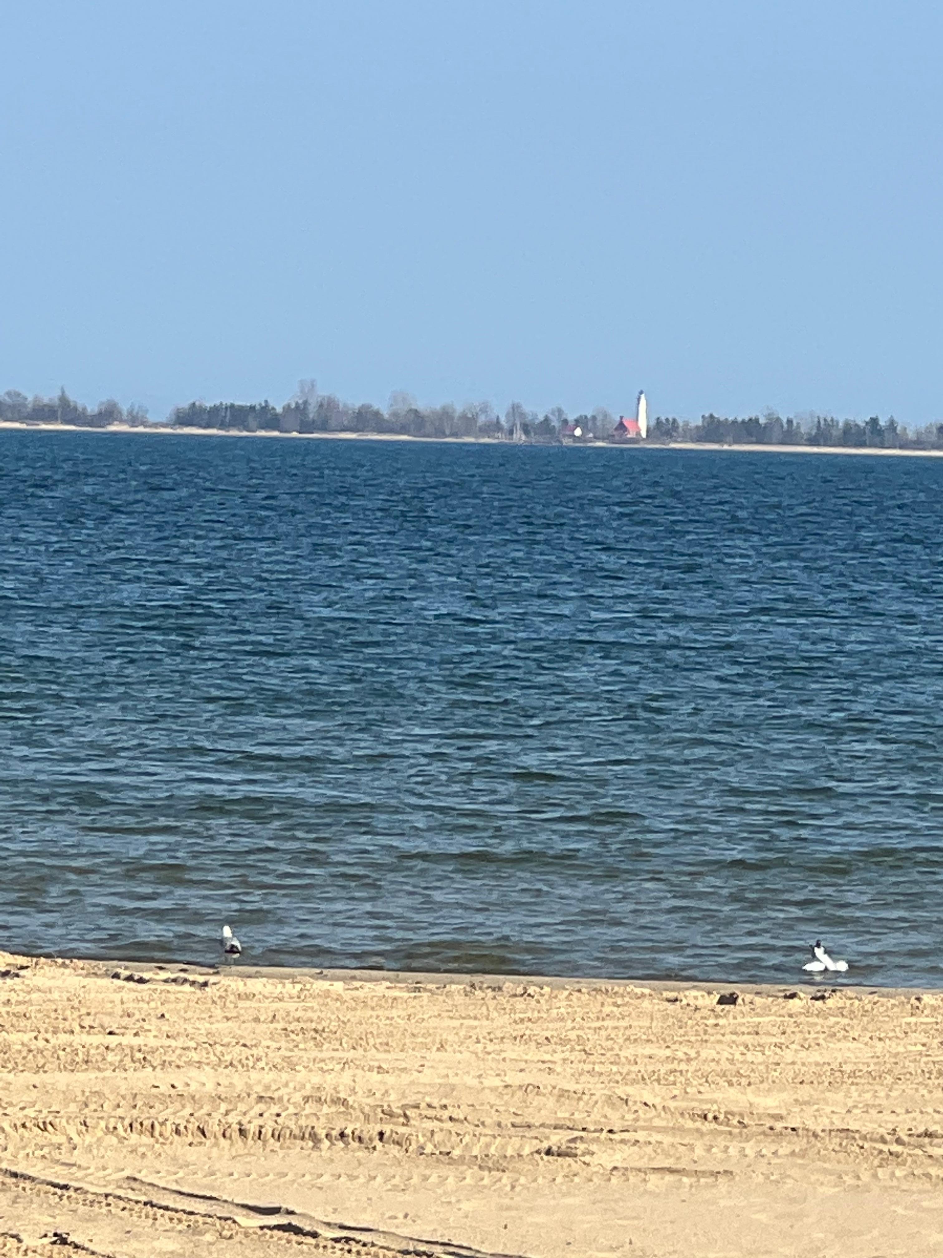 Bay view 