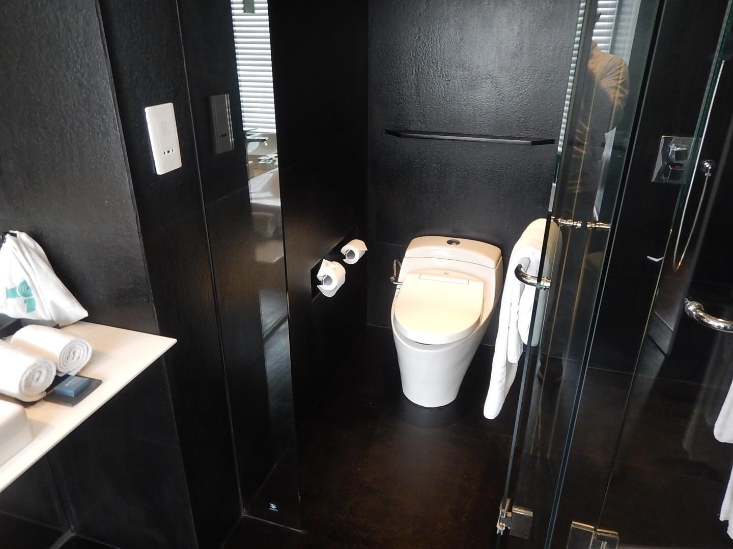 写真ではわからないですがシャワートイレです。冷水ですがダイヤル状の栓を回したら水が出てきます。