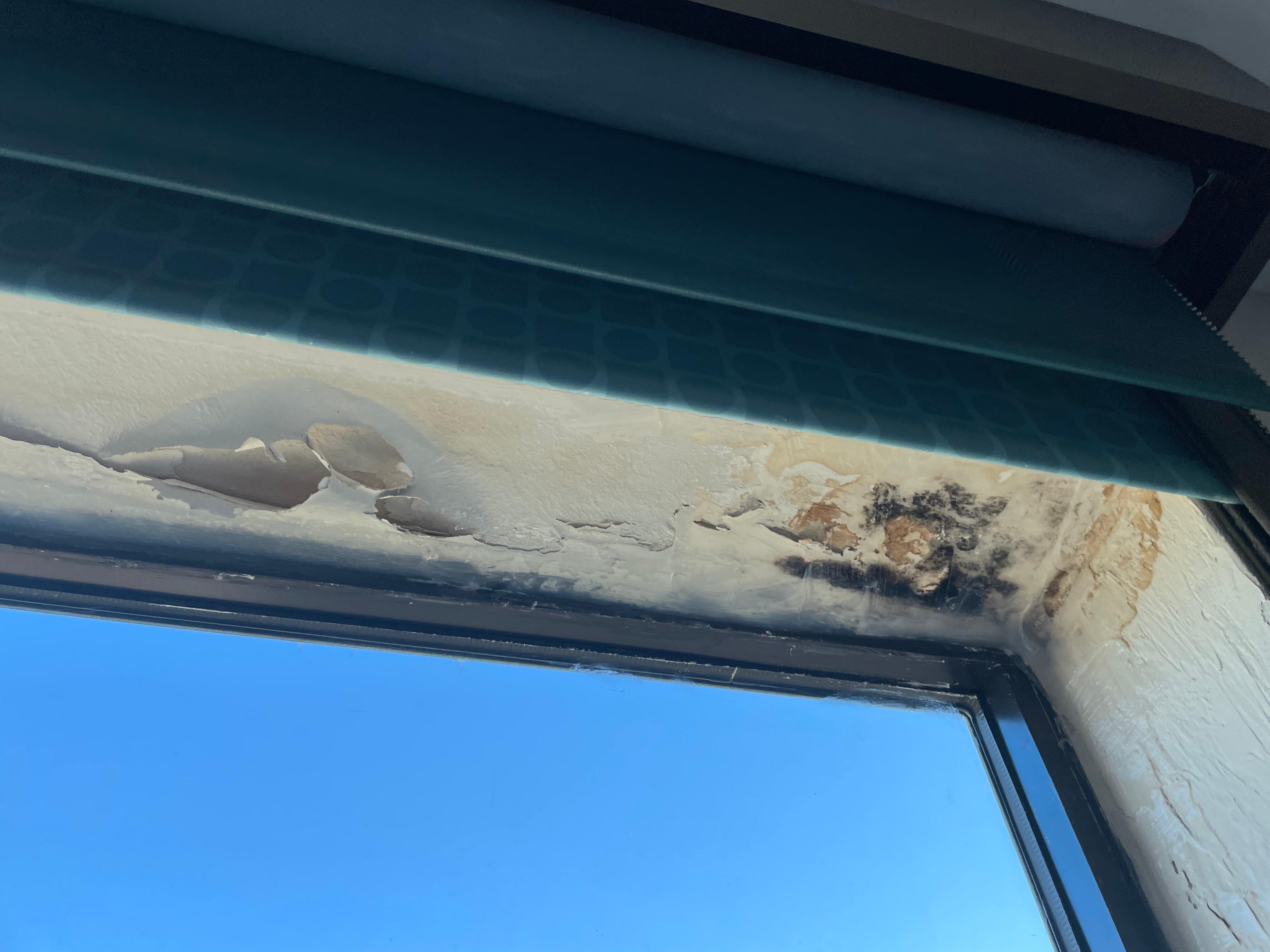 BLACK MOLD!!