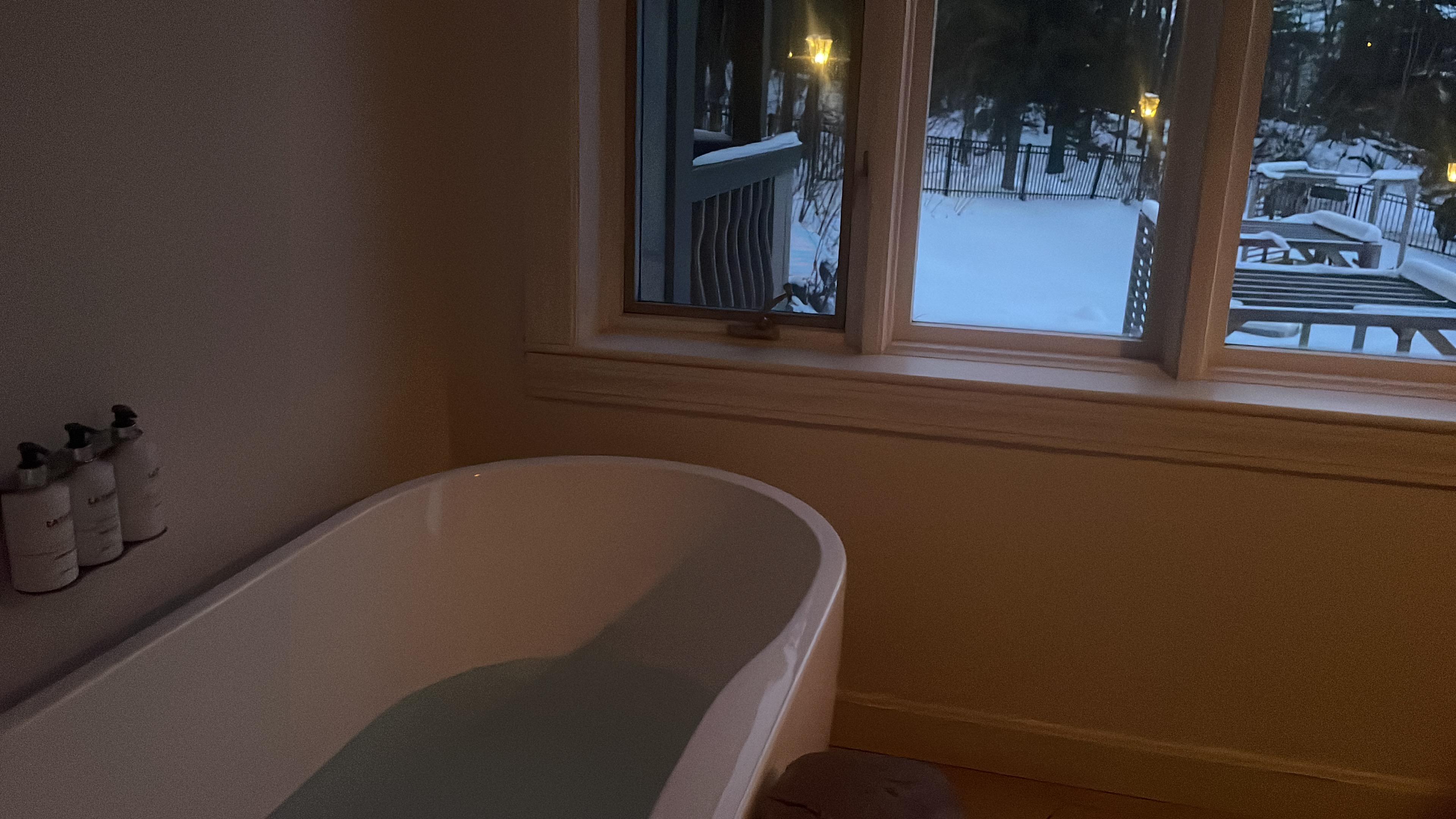 Bathtub with a snowy view