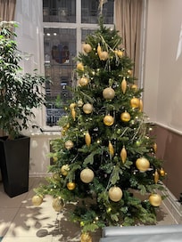 Granen receptionen 🎄❤️