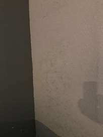 Mold on wall next to bathroom